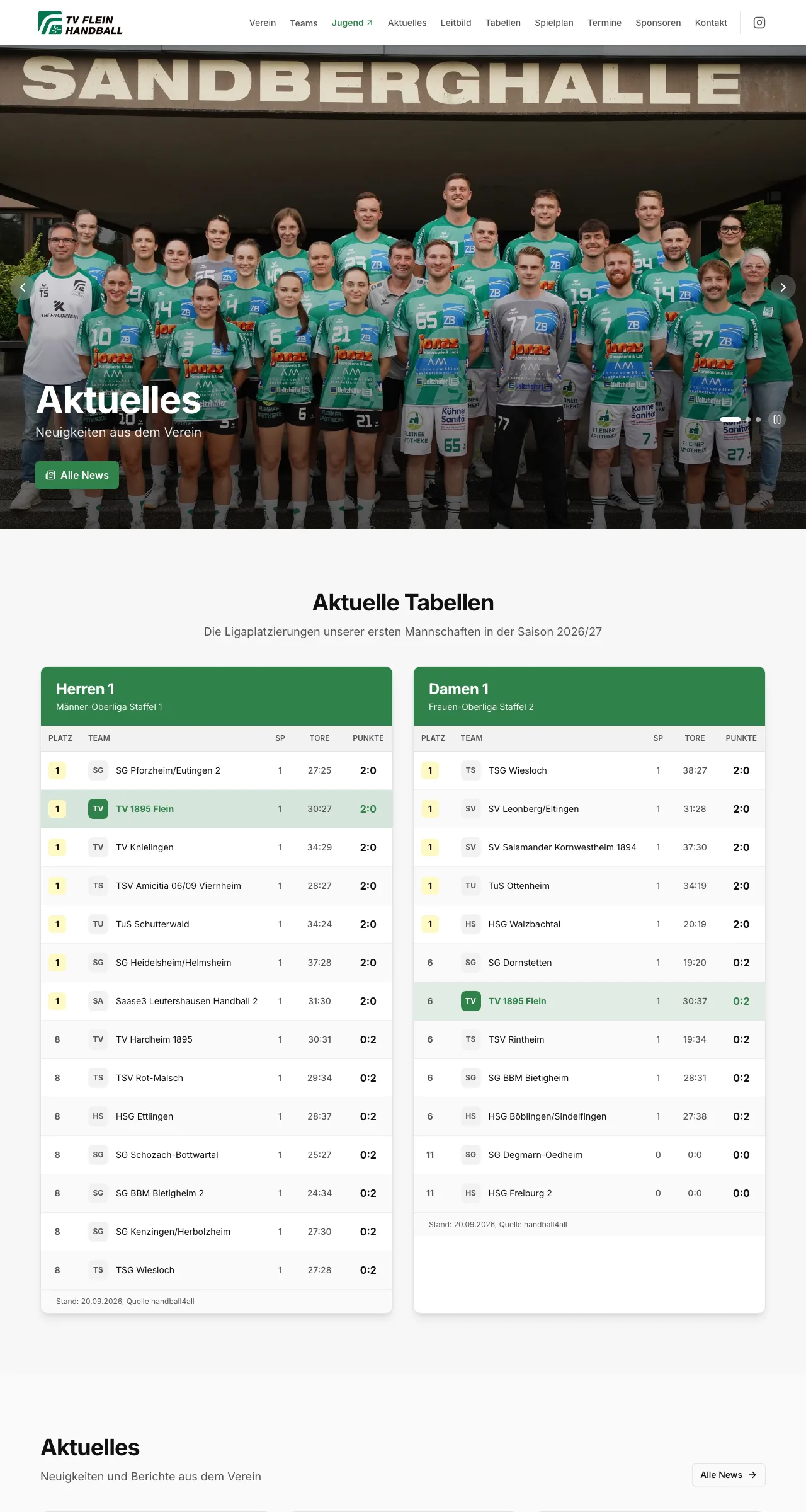 Website Referenz TV Flein Handball